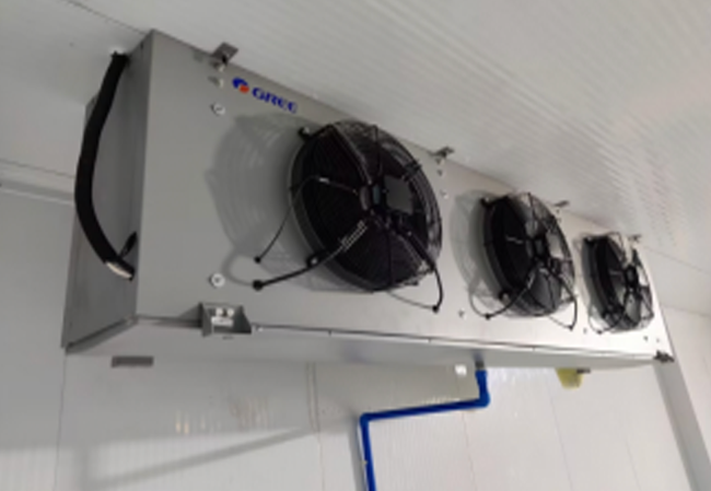 夏菜保鲜冷藏库